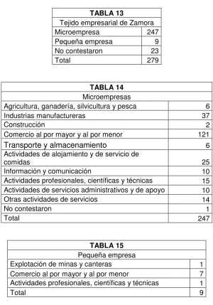 TABLA 13 Tejido empresarial de Zamora 