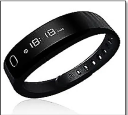 Figura 2.2, Pulsera Localizadora. 