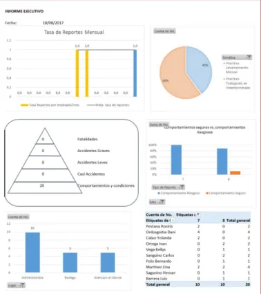 Tabla 4. Tablero de informe ejecutivo VER 