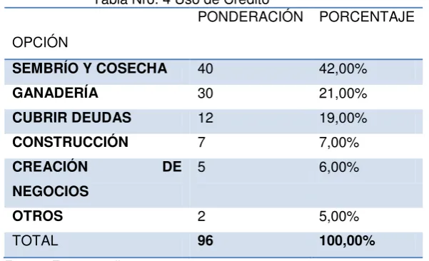 Tabla Nro. 4 Uso de Crédito 