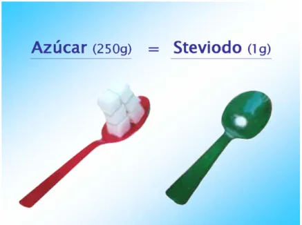 Foto Nº 1.3  Esteviodo 