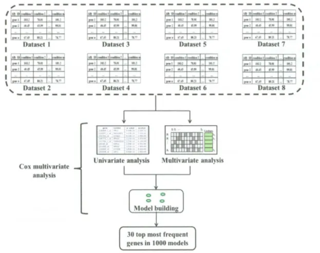 Figure 4.6: Schematic representation of methodology applied to eight sizes of data to generate 
