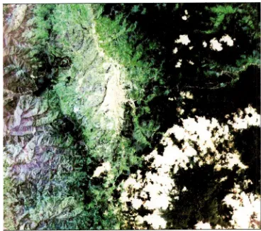 FIG 2: Porción de una imagen satelital de la ciudad de Loja