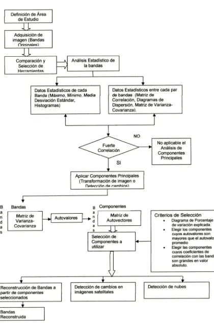 FIG 3. Metodología para aplicar ACP en imá genes satelitales