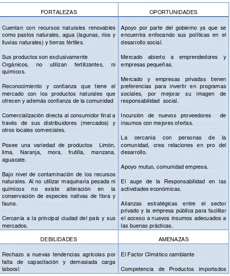 Tabla 7. Análisis FODA 