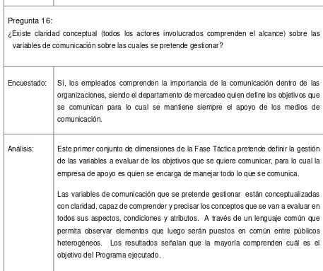 Tabla 12: Entrevista, fase táctica.  