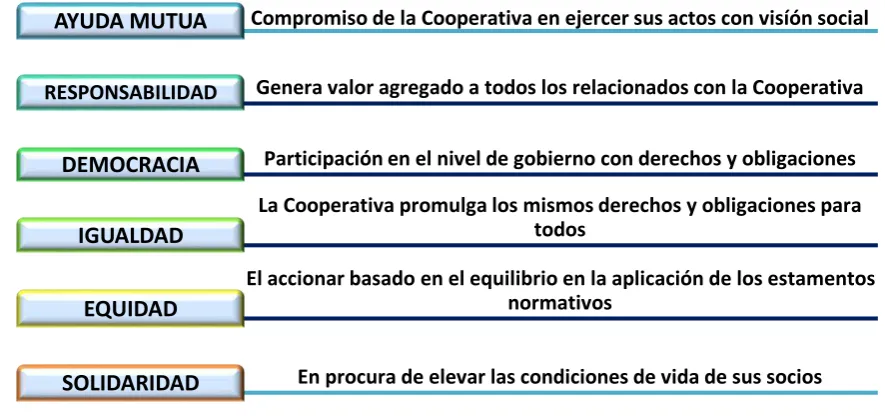Figura 30: 