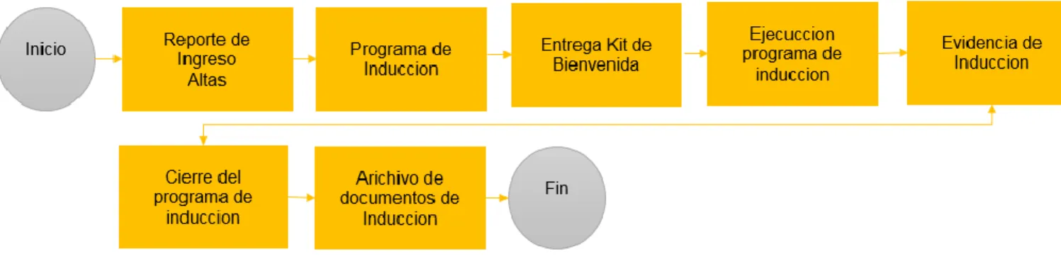 Tabla 8 Proceso de capacitación 