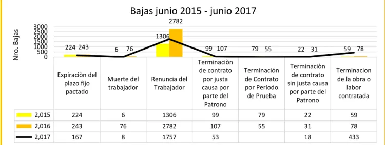 Ilustración 3 Comportamiento de bajas de junio de 2015 a junio 2017 