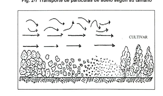 Fig. 2-7 Transporte de partículas de suelo según su tamaño