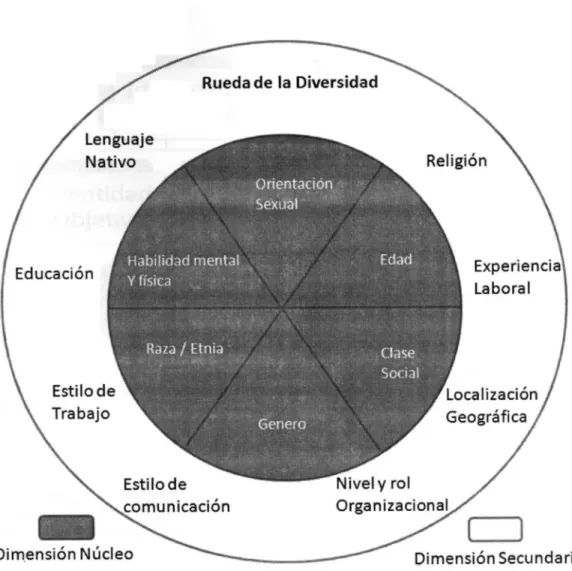 FIGURA 3. RUEDA DE LA DIVERSIDAD. 