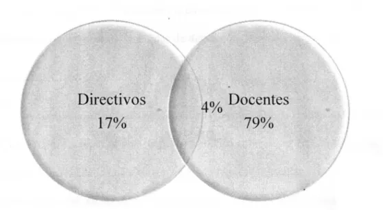 Figura 4. Tipo de puesto 