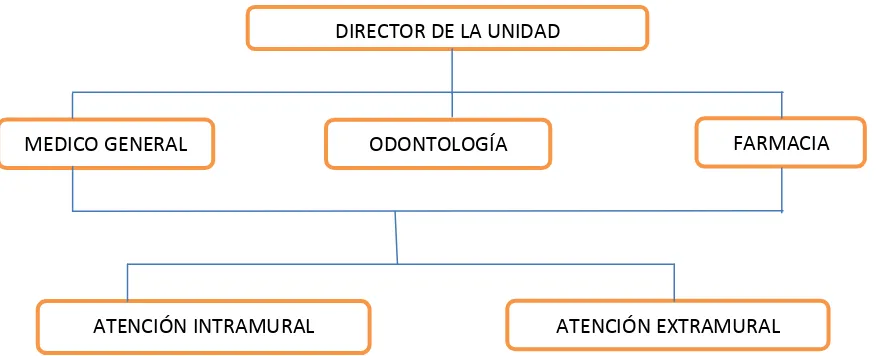 Figura 2. Organización administrativa de la Unidad de Salud 