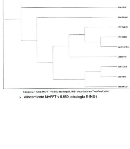 Figura 3.27- Arbol MAFFT v 5.850 estratega L-INS-i visuaizado en TreeViewX vO.4.1