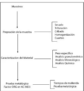 Figura 4. Diagrama que resume la metodología empleada 