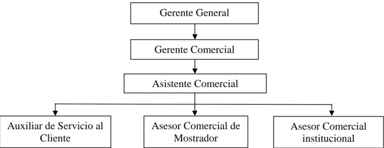 Figura 4. Organigrama del área comercial adecuado a las características de las  organizaciones objeto de estudio