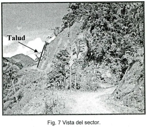 Fig. 7 Vista del sector.