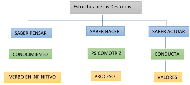 Figura 1. Estructura de las destrezas 
