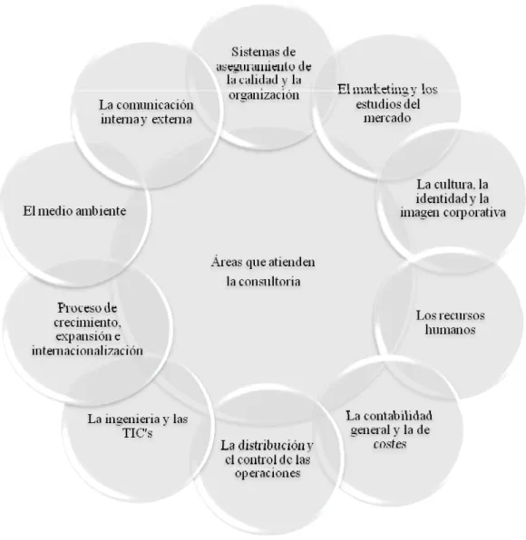 Figura 3. Áreas que atiende la consultoría (Báez y Pérez, 2007). 