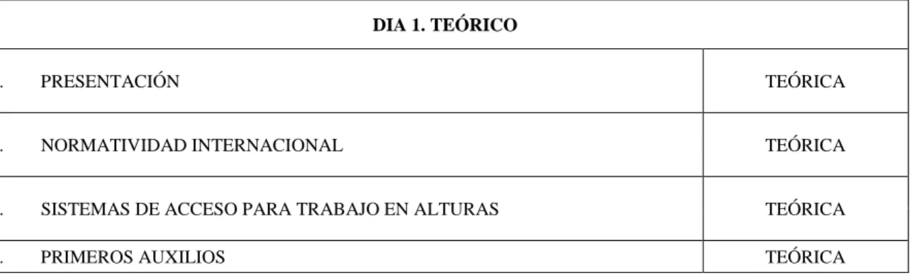 Tabla 1. Desarrollo Formación TSA- Avanzado. Autor El mismo 