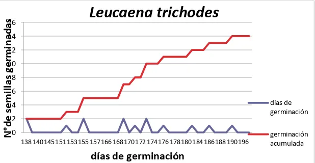 Figura 10. Días de germinación y numero de  semillas germinadas de Coccoloba ruiziana 