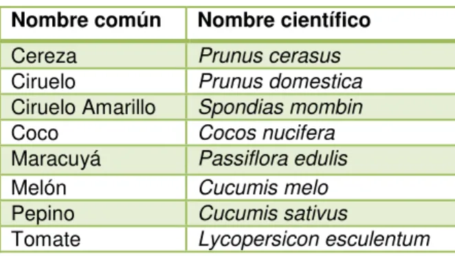 Tabla 13: Especies de plantas frutales 