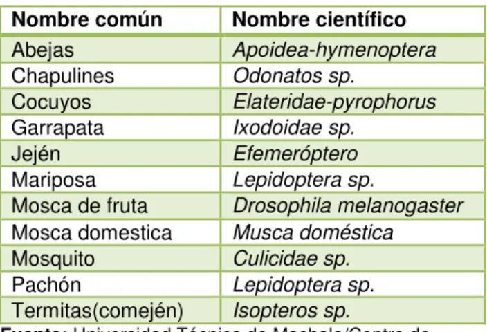 Tabla 30: Especies de plantas ornamentales  Nombre común  Nombre científico 