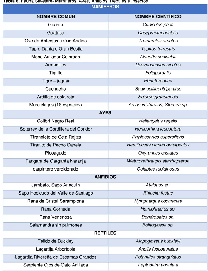 Tabla 6. Fauna Silvestre- Mamíferos, Aves, Anfibios, Reptiles e Insectos  MAMÍFEROS 