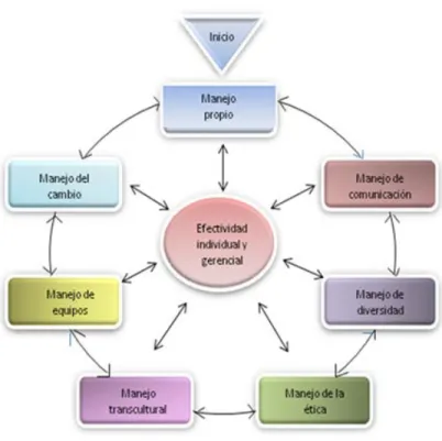 Ilustración 7 Competencias básicas para la efectividad individual y gerencial Tomado de: Hellriegel y Slocum Jr