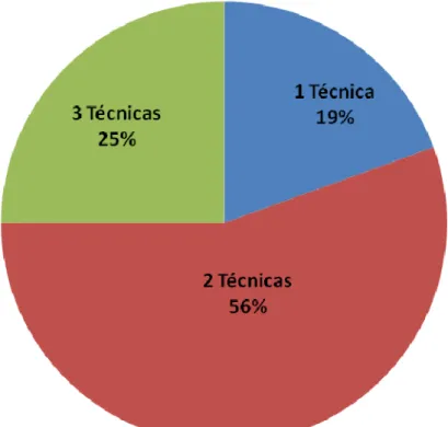 Figura 11. Triangulación 