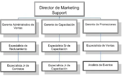 Figura 1.Organigrama Dirección de Marketing Support 