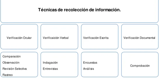 Figura  6. Técnica de recolección de información.