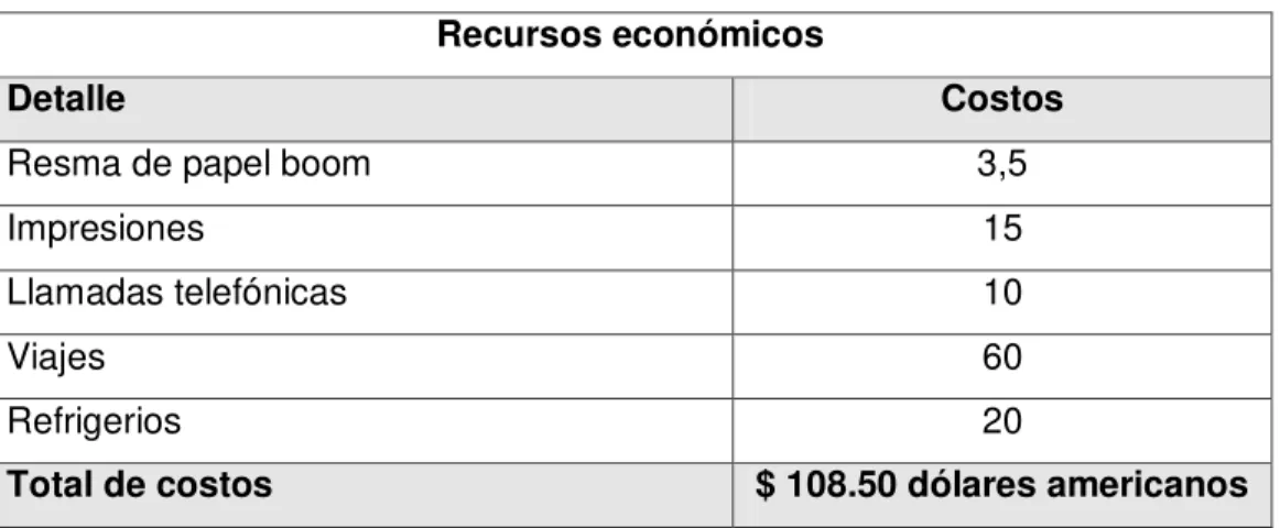 Cuadro 6. Recursos económicos 