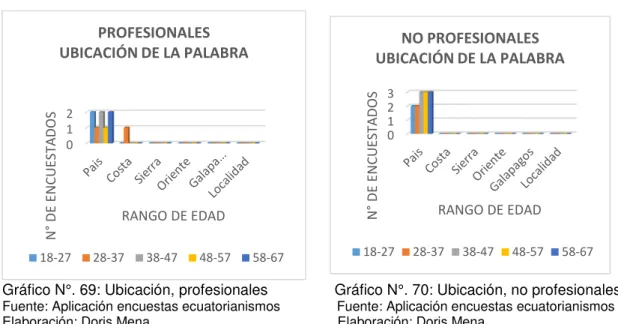 Gráfico N°. 69: Ubicación, profesionales                Gráfico N°. 70: Ubicación, no profesionales 