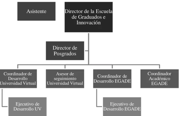 Figura 1. Organigrama de la Dirección de Posgrados. 