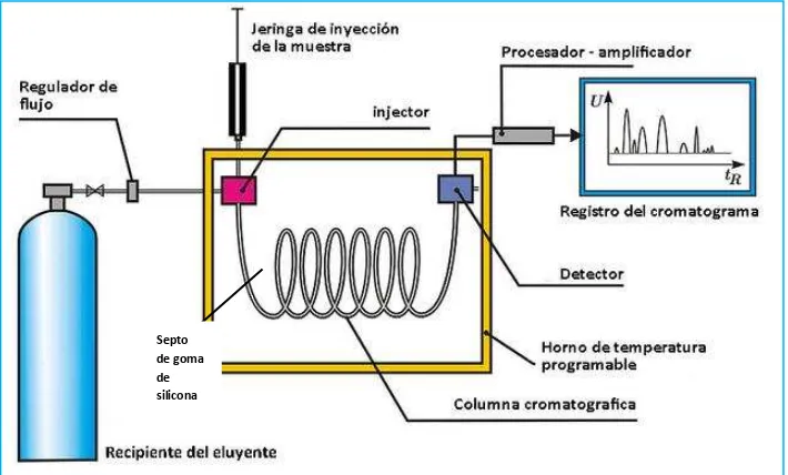 Figura 2. Diagrama esquemático de un cromatógrafo de gases.  Fuente: Dubaj, 2011  