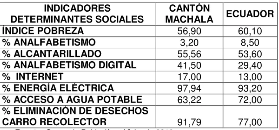 Tabla Nº 6: Indicadores Determinantes Sociales  