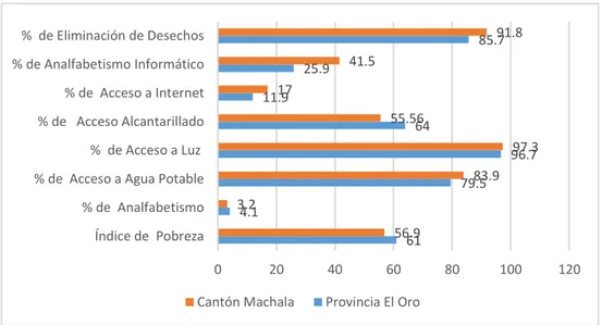 Gráfico  N°5 Indicadores Determinantes Sociales