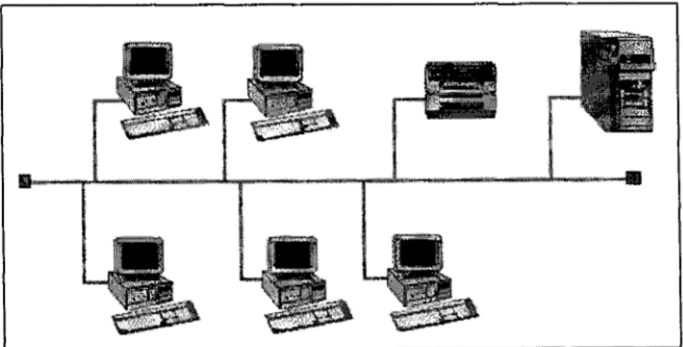 Figura 2.2 Topología Sus. 