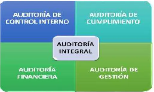 Figura 1: Componentes de auditoría integral 