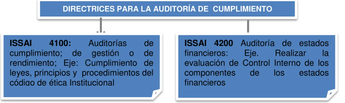 Figura 1: Directrices para la auditoría de  cumplimiento 