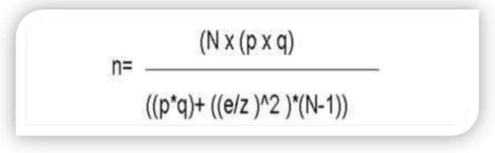 Fig. 4. Fórmula para calcular muestras