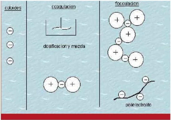 Figura 1.6. Tratamiento de coagulación y floculación. 