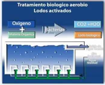 Figura 1.11. Tratamiento biológico aerobio. 