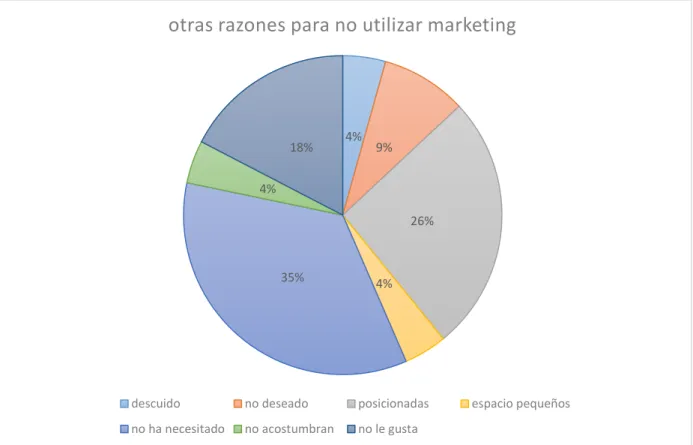 Figura 3 Razones por las que no utilizan marketing 
