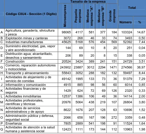 Tabla 6. Clasificación de las empresas de acuerdo a las categorías CIIU, año 2012. 