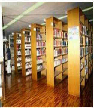 Figura 11: Estante Biblioteca PUCE (Quito) 2015 
