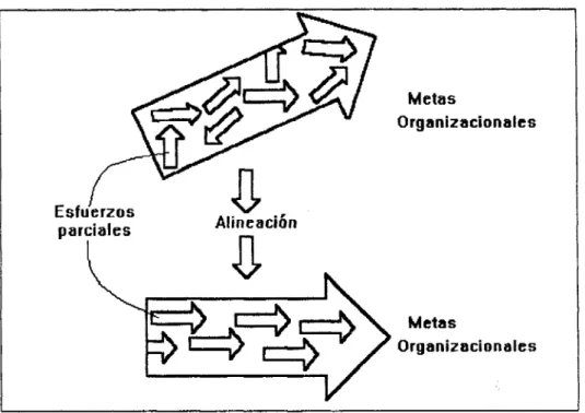 Figura 2.2. La Alineación Estratégica En La Organización. 