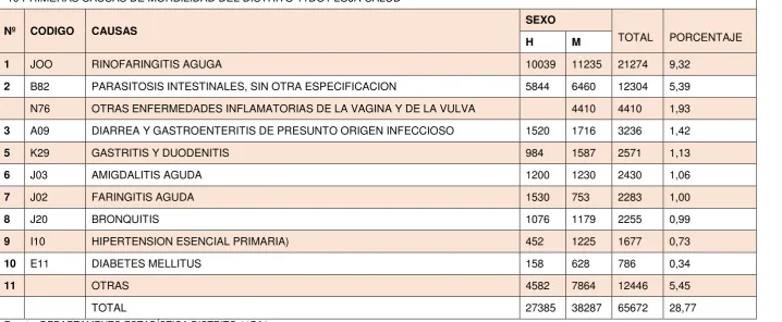 Tabla 10. Causas de Morbilidad del Distrito 11D01. 