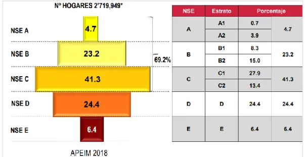 Figura 22. Distribución de NSE por zona – Lima Metropolitana  Nota: APEIM 2018 